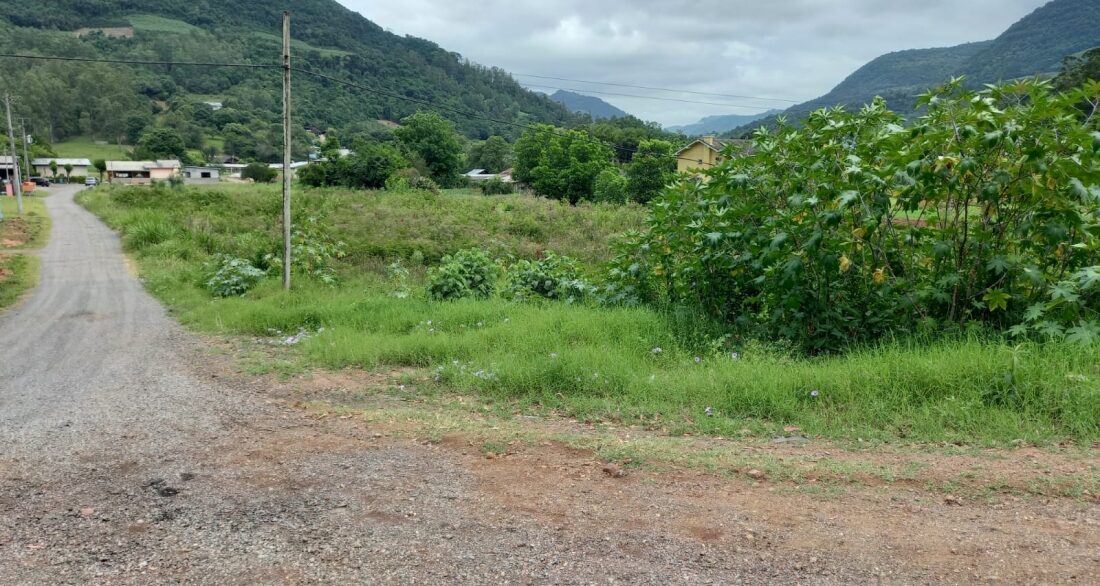 g-11-20215d046907(8)
