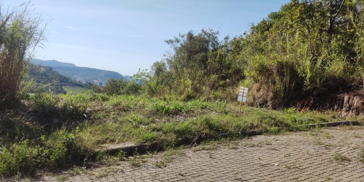 b4978b42-9731-4488-b3a5-127f6568e28f