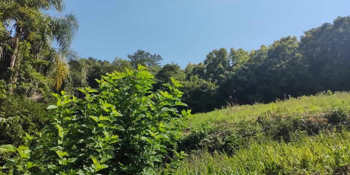 1e1f31b4-386b-4deb-a643-2784d9dc41b8