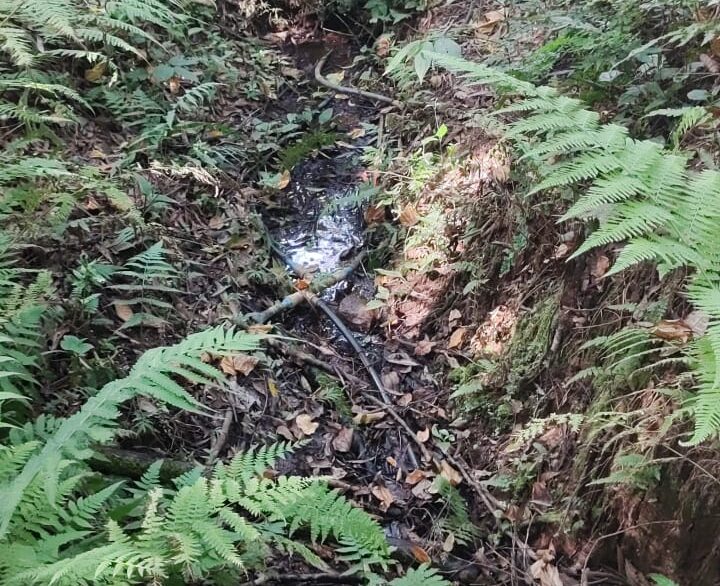 fa0077a2-9973-46f3-96c5-684b99d37255